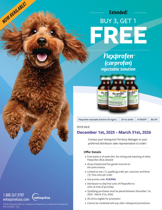 Flexprofen flyer promo